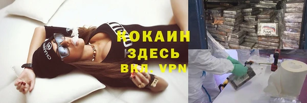 шишки Карталы