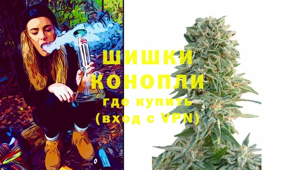 шишки Карталы