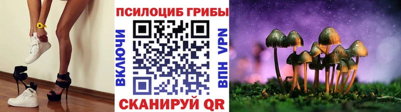 Купить где  Дмитриев  Галлюциногенные грибы Cubensis 